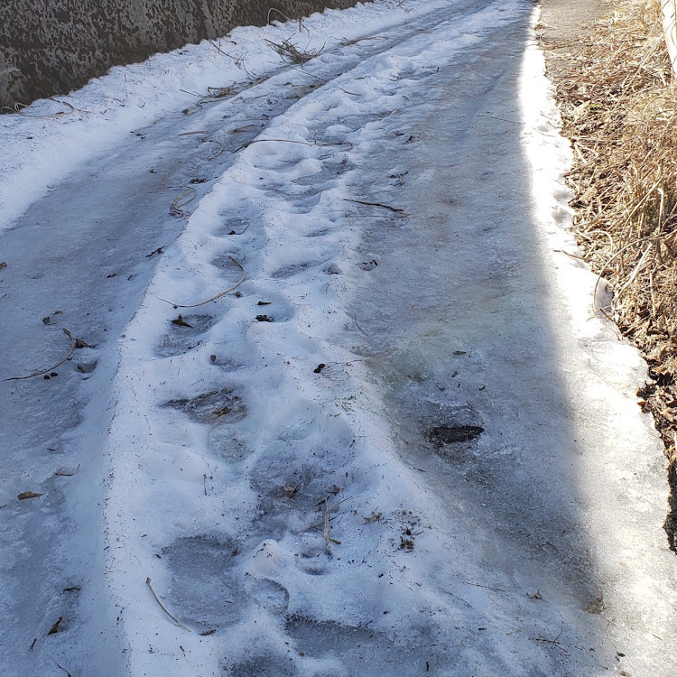 ジムニーのたま林道・一本橋検定・小石踏み・大石踏み・氷上走行に関するカスタム事例の投稿画像3枚目