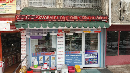 Ct Akvaryum