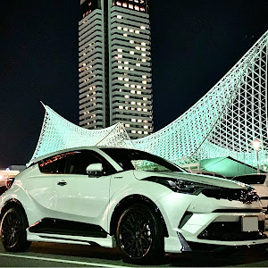 C-HR ZYX10