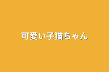 「可愛い子猫ちゃん」のメインビジュアル