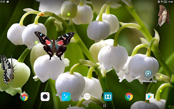 Lily Of The Valley Wallpaper Apps On Google Play