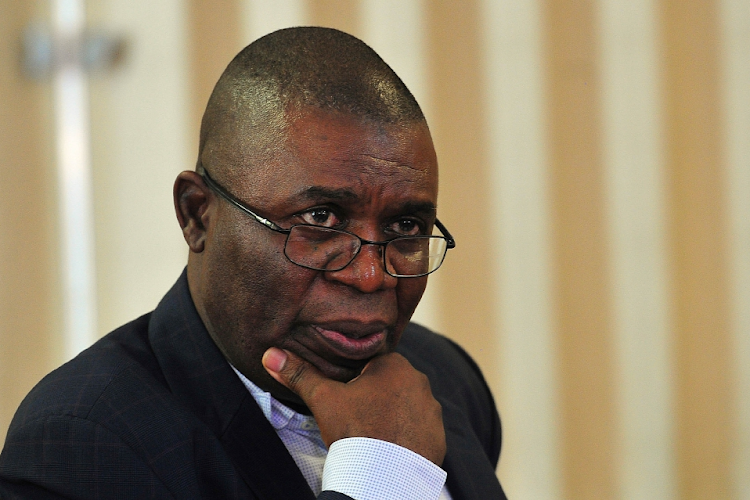 National security advisor to the Presidency Sydney Mufamadi appeared before Scopa on Friday. The parliamentary committee wants Eskom ex-CEO Andre de Ruyter to provide the report in which allegations of corruption at Eskom were made. File photo