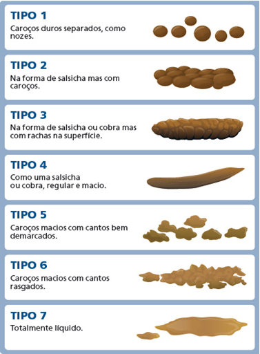 A consistência das fezes é um indicador importante da saúde