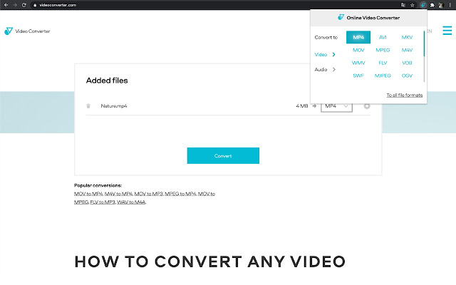 Online Video Converter