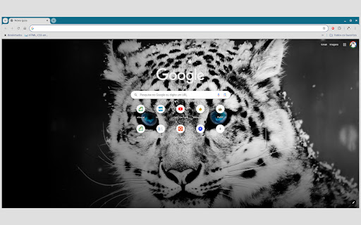 Snow Leopard Theme