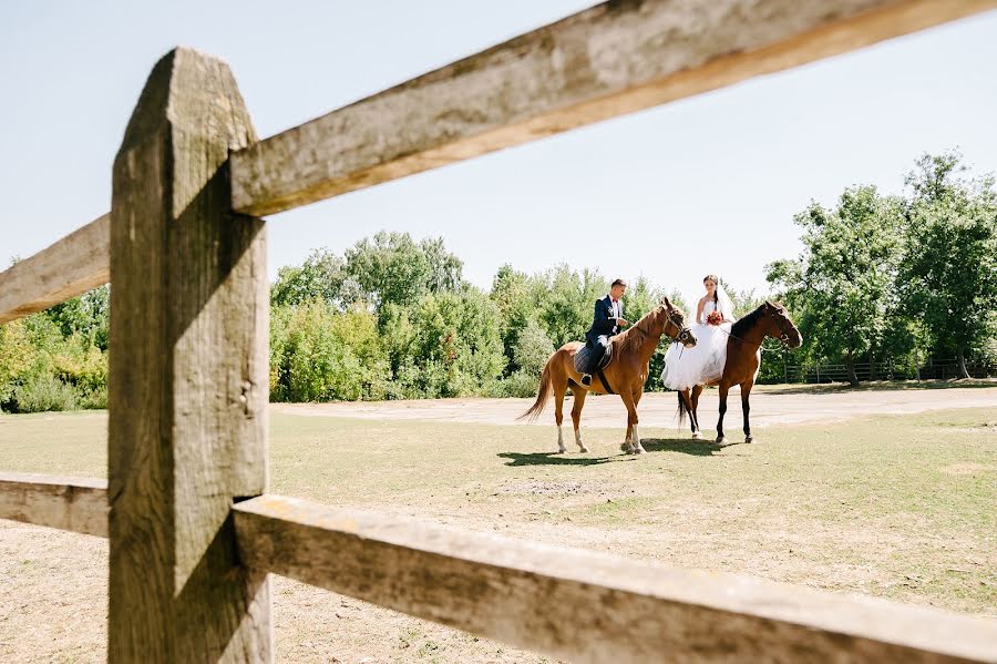 Wedding photographer Aleksandr Shishkin (just-painter). Photo of 3 September 2015