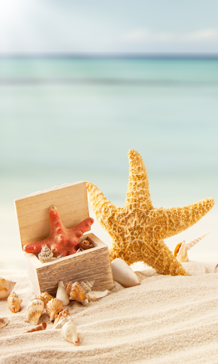 Seashells Images Wallpapers