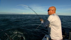 Sleight Of Hand: How To Trick Selective Trout - Fly Fisherman