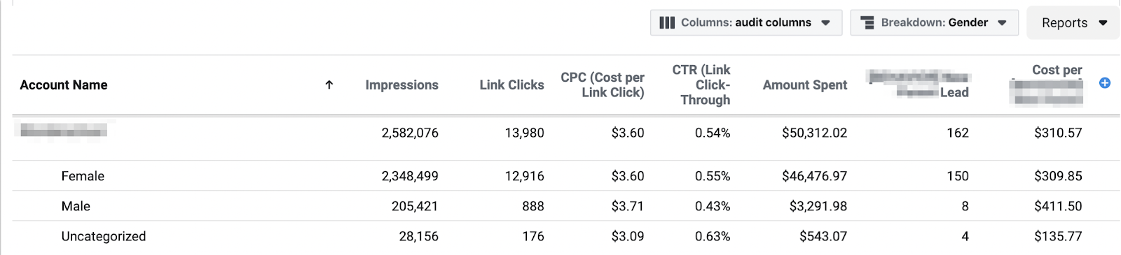 Facebook Ad report with a breakdown by gender