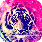 Tiger Wallpaper  Icon