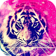 Download Tiger Wallpaper For PC Windows and Mac 1.0