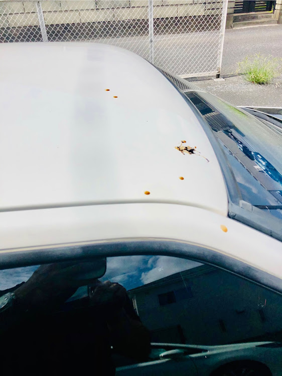 スプリンタートレノの4連休・暑い・猛暑日・気合いと根性に関するカスタム事例の投稿画像2枚目