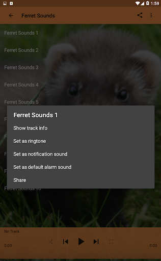 Ferret Sounds