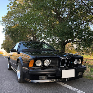 M6 E24