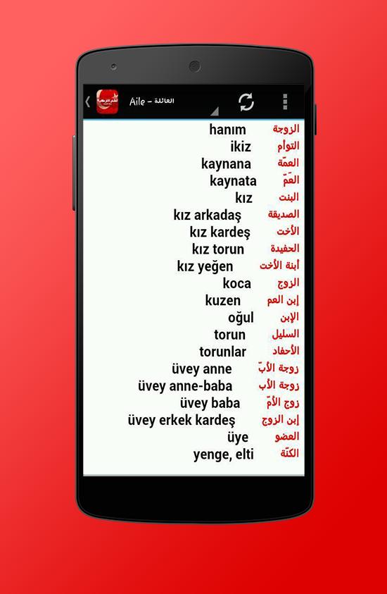 تعلم اللغة التركية Screen 3