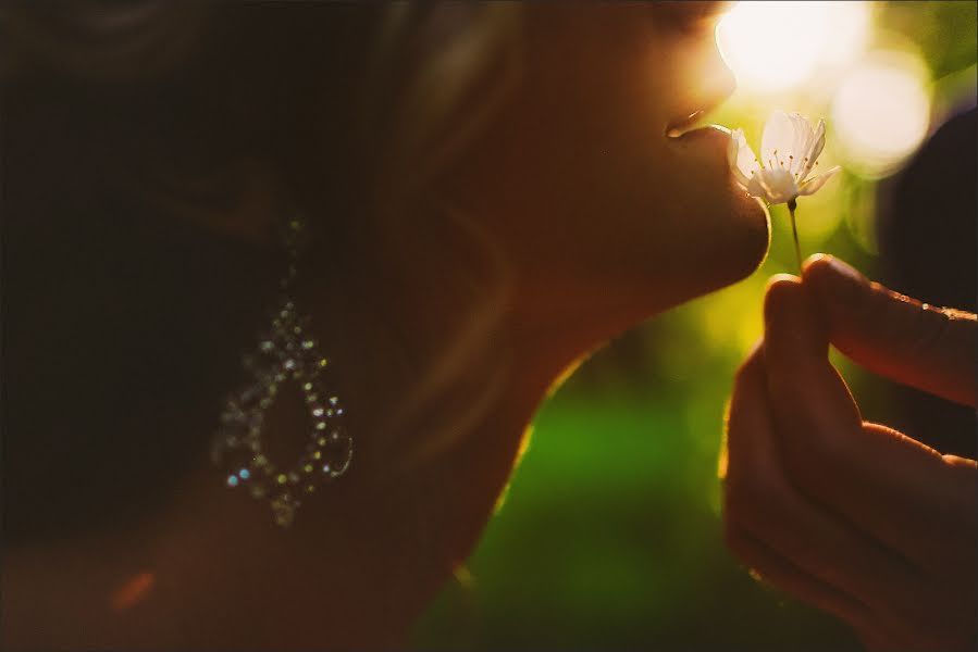 Fotógrafo de bodas Kristina Tararina (ta-kris). Foto del 6 de junio 2015