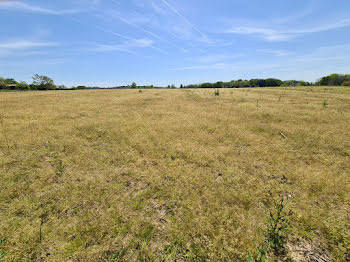 terrain à Sainte-Marie-de-Gosse (40)