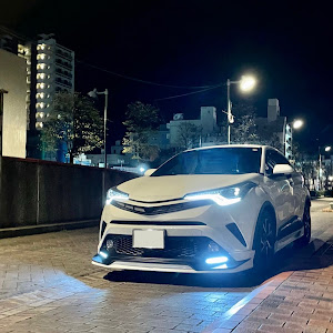 C-HR ZYX10