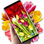 Cover Image of Herunterladen Tulips Live Wallpapers 4.14.3 APK