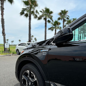 CR-V RT6