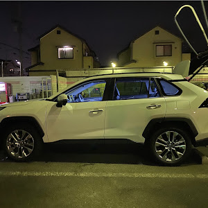 RAV4 MXAA54
