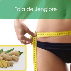 Download Faja de Jengibre For PC Windows and Mac