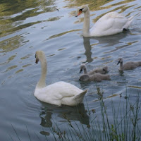 Famiglia in vacanza di 