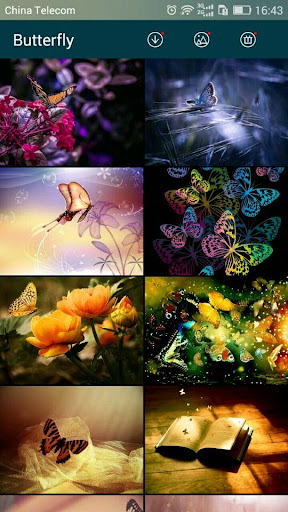 免費下載個人化APP|Butterfly wallpapers HD app開箱文|APP開箱王