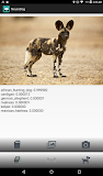 NeuroDog Dog Breed Identifier