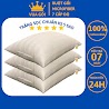 Ruột Gối Nằm Lông Vũ Nhân Tạo Cao Cấp Vua Gối Deluxe Pillow Gối Lông Vũ Microfiber Chuẩn Khách Sạn 5 Sao