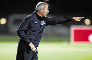 Chippa United coach Ernst Middendorp. File photo