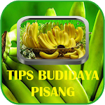 Cover Image of Download Tips Budidaya Pisang 1.0 APK