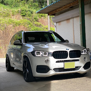 X5 F15