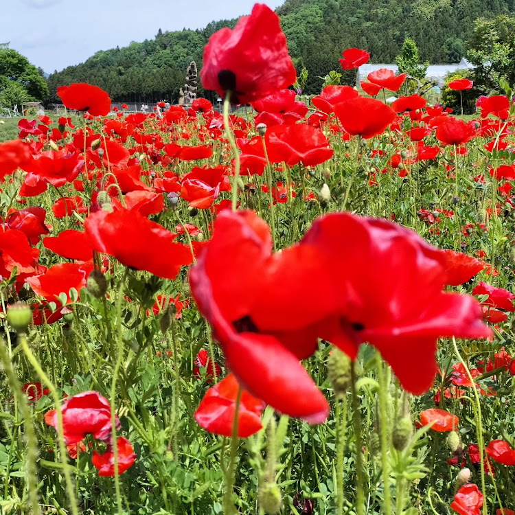 エクストレイルのパジェロ・ノート・猪苗代・ゴールドライン・T32に関するカスタム事例の投稿画像3枚目