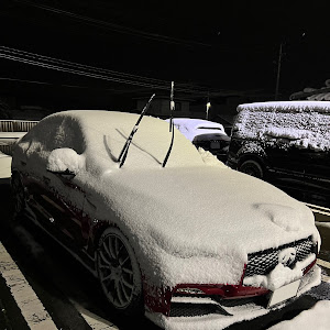 スカイライン HNV37