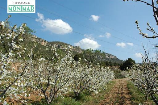 Villa avec terrasse 5