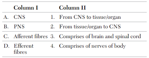 Central Nervous System