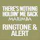 Download There's Nothing Holdin' Me Back Marimba Ringtone For PC Windows and Mac 1.0