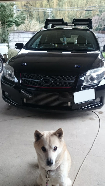 ごうさんが投稿した過去愛車に関するカスタム事例の投稿画像5枚目