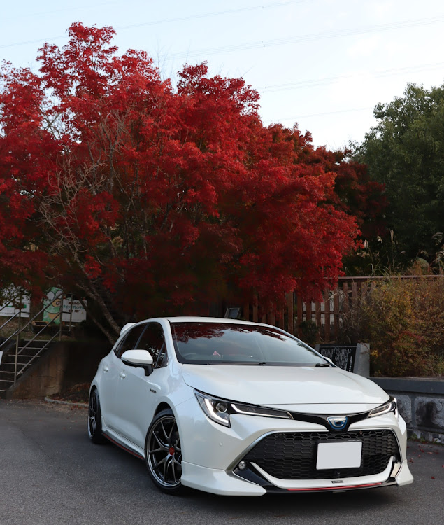 カローラスポーツの十津川村谷瀬のつり橋・紅葉ドライブ🍁・紅葉・紅葉と愛車に関するカスタム事例の投稿画像1枚目