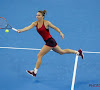 'Simona Halep stuurt haar kat naar de US Open'