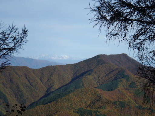 戸倉山と奥に雪の北アルプス