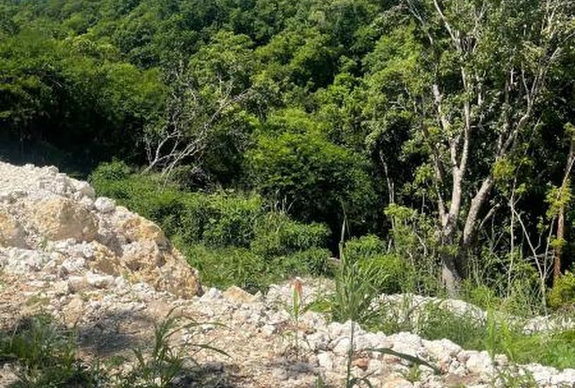  Vente Terrain à bâtir - à Le Gosier (97190) 