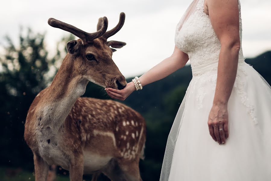 Fotografo di matrimoni Mitja Železnikar (zeleznikar). Foto del 4 luglio 2016