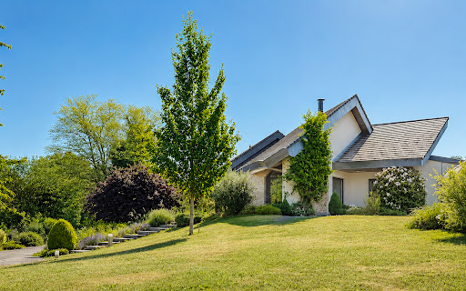 House with pool and terrace 1