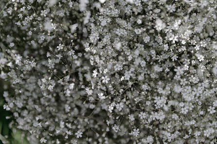 Fotógrafo de bodas Danila Bazin (daphotoart). Foto del 27 de marzo