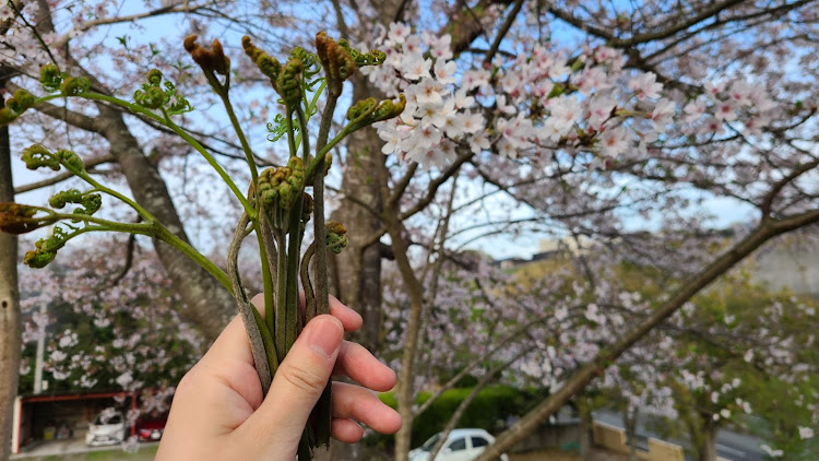 の投稿画像7枚目