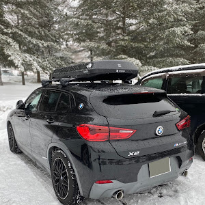 X2 xDrive 18d