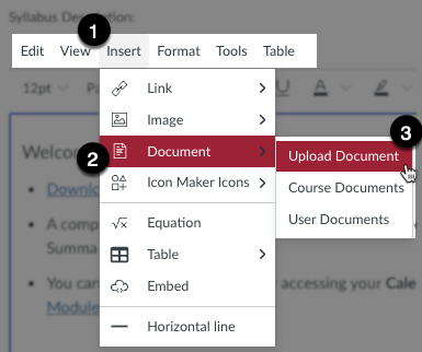 Canvas Rich Content Editor. The editor toolbar is activated. [1] points to the Insert menu. [2] points to the Document submenu. [3] points to the Upload Document option.