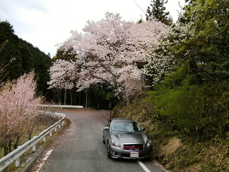 の投稿画像12枚目